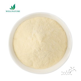 Wholesale Organic Mango Fruit Juice Powder Food Grade Mango Fruit Juice Powder