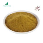 Factory Supply Pure Devil's Claw Root Extract 20%  Devils Claw Extract Powder Harpagosides