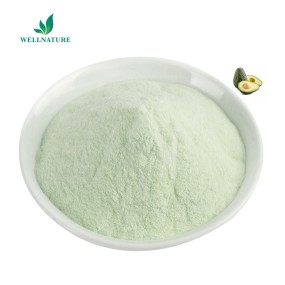 Factory Supply Natural Organic Freeze Dried Avocado Leaf Powder Extract