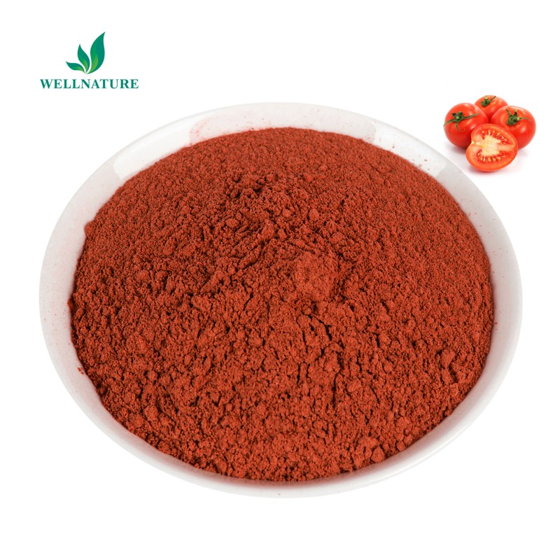 Wholesale Bulk Tomato Extract Powder Spray Dried Organic Tomato Powder