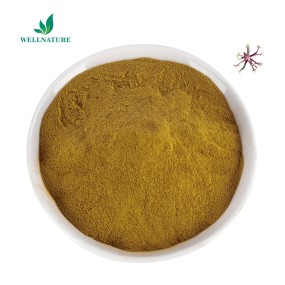 Factory Supply Pure Devil's Claw Root Extract 20%  Devils Claw Extract Powder Harpagosides