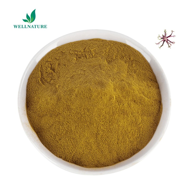 Factory Supply Pure Devil's Claw Root Extract 20%  Devils Claw Extract Powder Harpagosides