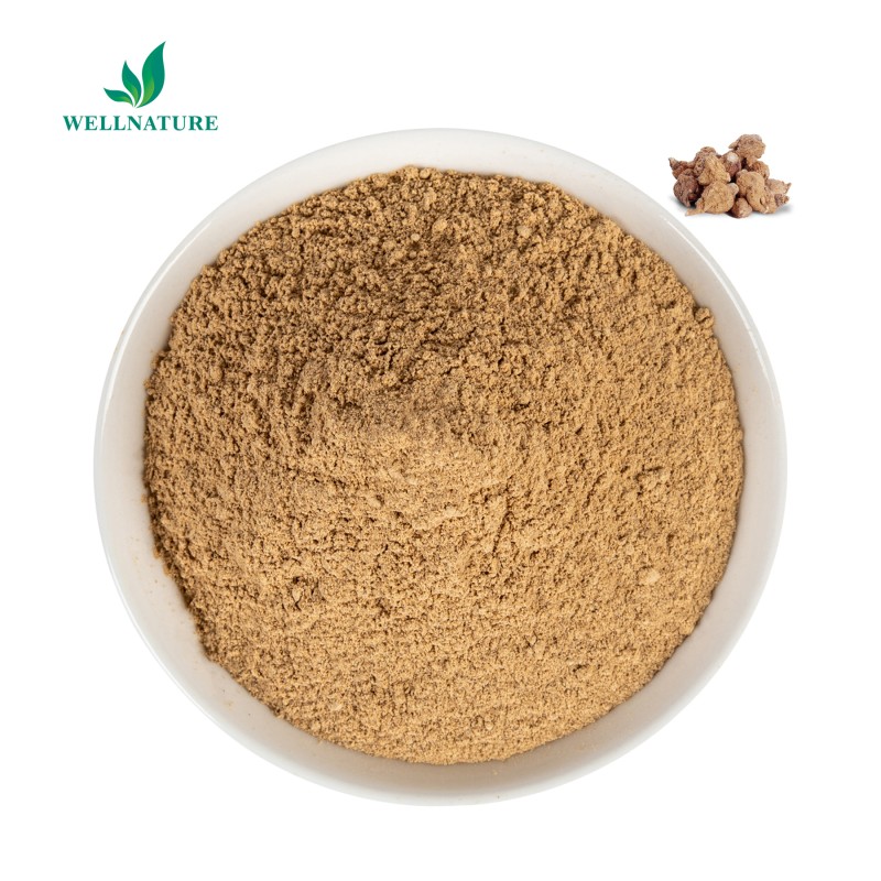 Wellnature Supply Water Souble Black Maca Extract 10:1 Organic Maca Root Extract Powder in Bulk