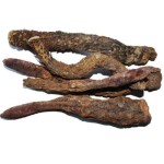 Good Selling 10:1 Cistanche Tubulosa Extract Powder Kopen Cistanche Tubulosa Extract
