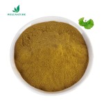 Herbal Extract Natural Organic Ginkgo Biloba Extract 24% Flavonoids Ginkgo Leaf Extract Powder
