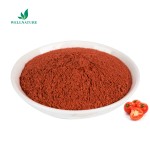 Wholesale Bulk Tomato Extract Powder Spray Dried Organic Tomato Powder