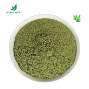 生产供应辣木叶粉末提取物辣木油提取物