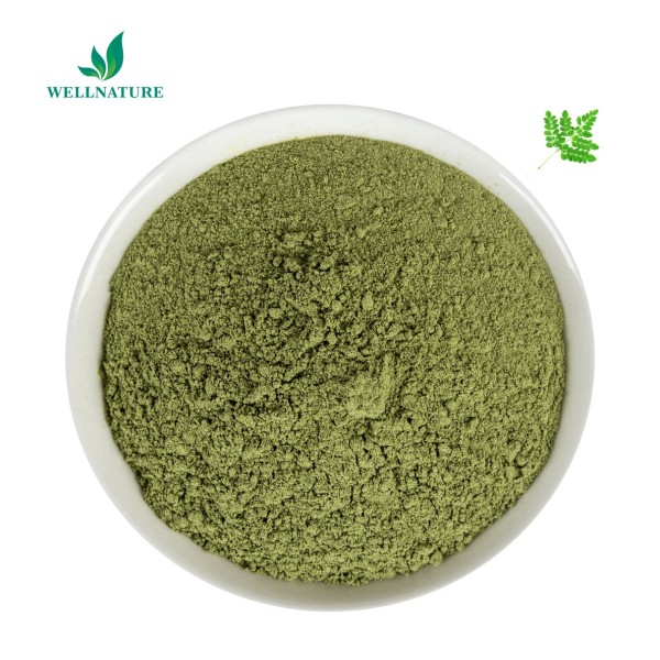 Manufacture Supply Moringa Leaf Powder Extract Moringa Oil Extraction