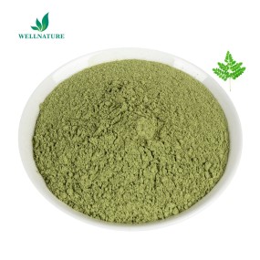 100% Natural Moringa Oleifera Seed Extract Capsules Machine Moringa Extract Supplier