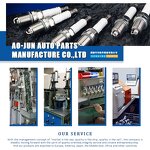 Fuel Injector Factory - OEM/ODM H106845 for Renault Fluence Nissan