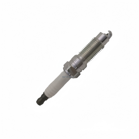 Platinum Spark Plug Factory - OEM/ODM SP509 for Mustang Navigator Mercury