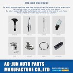 Fuel Injector Factory - OEM/ODM H106845 for Renault Fluence Nissan