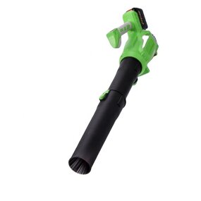 Lithium Battery Blower Manufacturer - OEM 0.8HP 600W Garden Outdoor