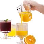 Manual Juicer Factory - OEM 304 Stainless Steel Commercial Hand Press