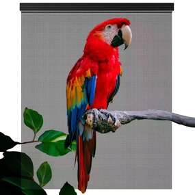 Flexible LED Display Factory - OEM/ODM Super Slim Transparent Soft Adhesive Film P6 P8