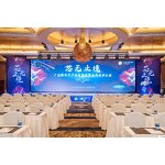 Outdoor LED Display Screen Factory - OEM/ODM 4K 500x1000mm Video Wall Panels Concert Stage