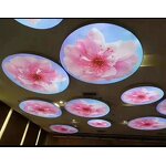 LED Display Factory - OEM/ODM Indoor Outdoor P1.6 P2.5 Customizable Alien Screen