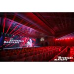 Outdoor LED Display Screen Factory - OEM/ODM 4K 500x1000mm Video Wall Panels Concert Stage