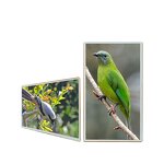 LCD Screen Display Manufacturer - OEM/ODM Ultra-thin 43/55/65 Inch Retail Digital Signage