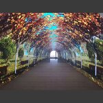 Flexible LED Screen Factory - OEM/ODM Indoor 3D Advertising 360 Curve P1.5 P2.5