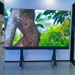 All-In-One LED Display Manufacturer - OEM/ODM Indoor P1.53 GOB Long Lifespan SDK
