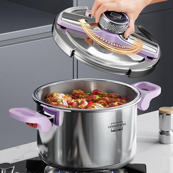 Pressure Cooker Manufacturer - OEM/ODM Eco-Friendly 100KPA Intelligent Timing 6L 8L