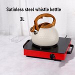 Water Kettle Manufacturer - OEM/ODM Stainless Steel 3L Tea Whistling Kettle for Home Kitchen
