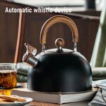 Automatic Whistle Kettle Manufacturer - OEM/ODM Stainless Steel 3.0L Black for Gas Induction