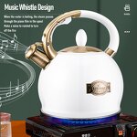 Water Kettle Manufacturer - OEM/ODM New Design Stainless Steel 3.5L Multicolor Tea Kettle