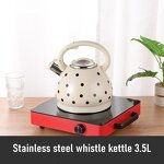 Water Kettle Factory - OEM/ODM Stainless Steel 3.5L Tea Whistling Kettle for Home Kitchen