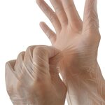 PVC Gloves Manufacturer - OEM Powder-Free Disposable Food Handling