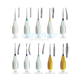 Root Elevator Factory - Hot Selling High Quality Stainless Steel