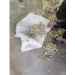 佩勒姆衔铁生产厂家-单关节带链马术