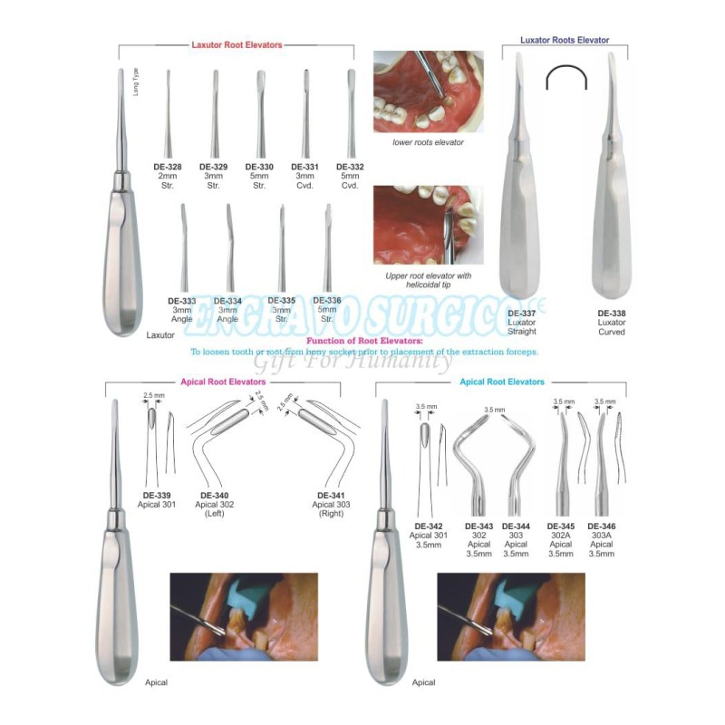 Dental Elevator Factory - Hot Selling Teeth Extraction Surgical Tool