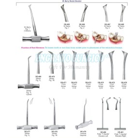 Dental Elevator Factory - High Quality Equipment All Colors Available
