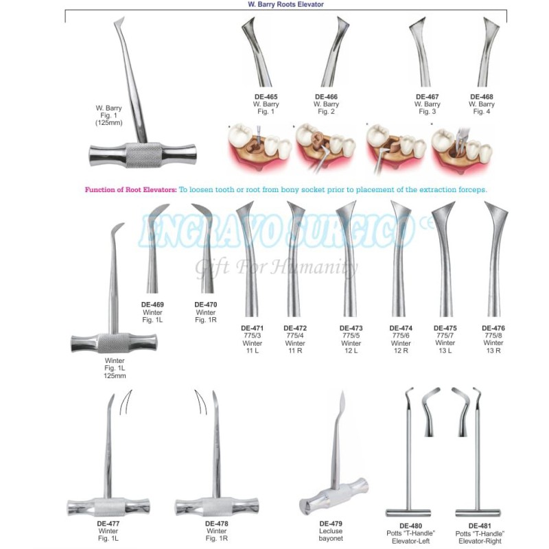 Dental Elevator Factory - High Quality Equipment All Colors Available