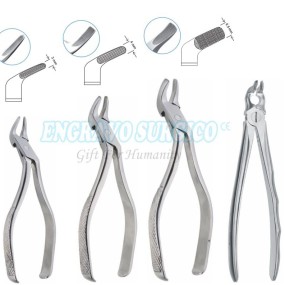 Extraction Forceps Factory - English Pattern Stainless Steel Dental