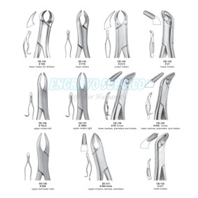 Tooth Forceps Factory - Hot Sale Lower Molar English Pattern