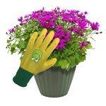 Children Working Gloves Manufacturer - OEM/ODM Custom logo Polyester Nylon Shell Nitrile Coated