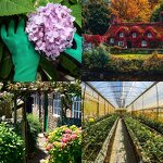 Work Gloves Manufacturer - OEM/ODM Cheap Private Label Latex Rubber Dipped for Garden