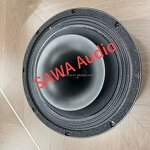 Stage Monitor Factory - OEM/ODM NX 15-SMA Single 15 Inch Active Coaxial Powered