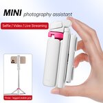Selfie Stick Manufacturer - OEM/ODM SS3 Portable Mini Lightweight with Wireless Remote