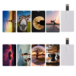USB Flash Drive Factory - OEM/ODM Business Card 2.0 Full Color Printing 8GB Plastic