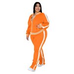 Sports Women's Suit Manufacturer - OEM Long Sleeve Pants Solid Color Feature Casual Sports Women's Suit