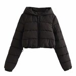 Hooded Jacket Manufacturer - OEM Autumn Winter New European American Women's Clothing Urban Leisure Regular Hooded