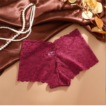 Panties Manufacturer - OEM High Waist Lace Sexy Mesh Breathable Belly Control Thin Women's Briefs