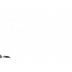 Nightgowns Factory - OEM 2024 Modal Split Sleep Lace Sexy Lingerie Night Dress