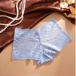 Panties Manufacturer - OEM High Waist Lace Sexy Mesh Breathable Belly Control Thin Women's Briefs