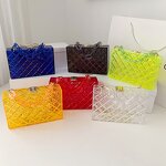 Acrylic Evening Clutch Factory - OEM/ODM Wholesale 2023 Ladies Transparent Chain Trendy Women's