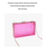 Lady Evening Clutch Manufacturer - OEM/ODM Luxury Metal Frames Plastic Hard Shell Fancy Design